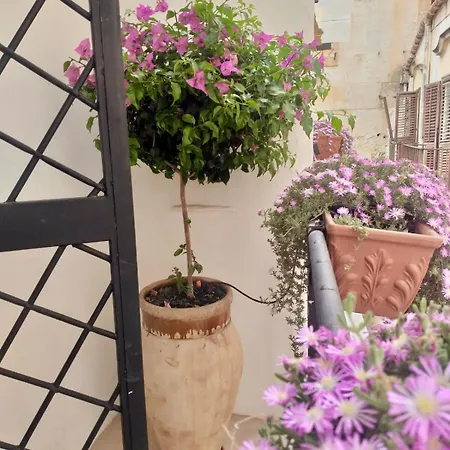 Apartment Dream Penthouse Over Main Square *